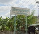 project-bann-saranwong-image-alt