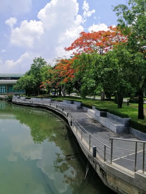 รูป Perfect Place Sukhumvit 77 - Suvarnabhumi - รูปที่ 3/11