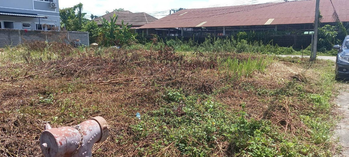 รูป Ph0133 ขายที่ดินเปล่า แปลงมุม 119.4 ตรว. อยู่เขตบ้านสันคะยอม - รูปที่ 2/3