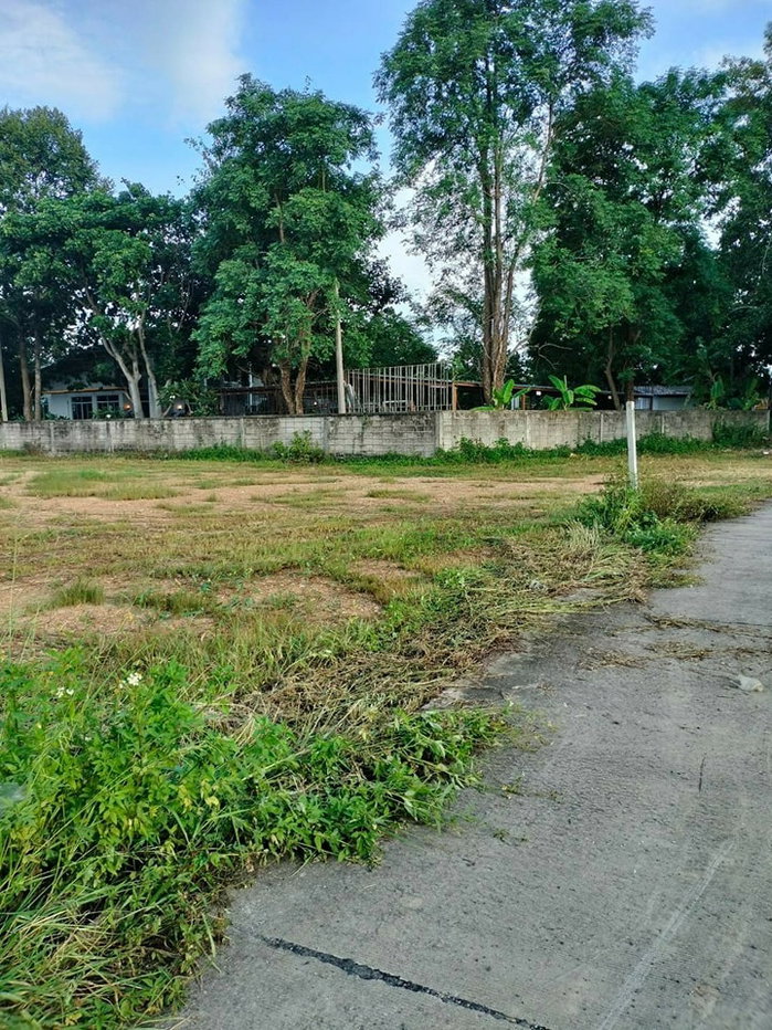 picture Land for sale! PHA koi neau , Moutain view . - 3/5