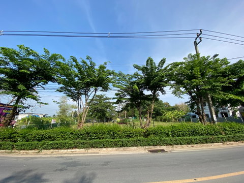 ให้เช่าที่ดิน420ตร.วา ที่ดินถมแล้ว ติดถนนซอยพุทธบูชา 39