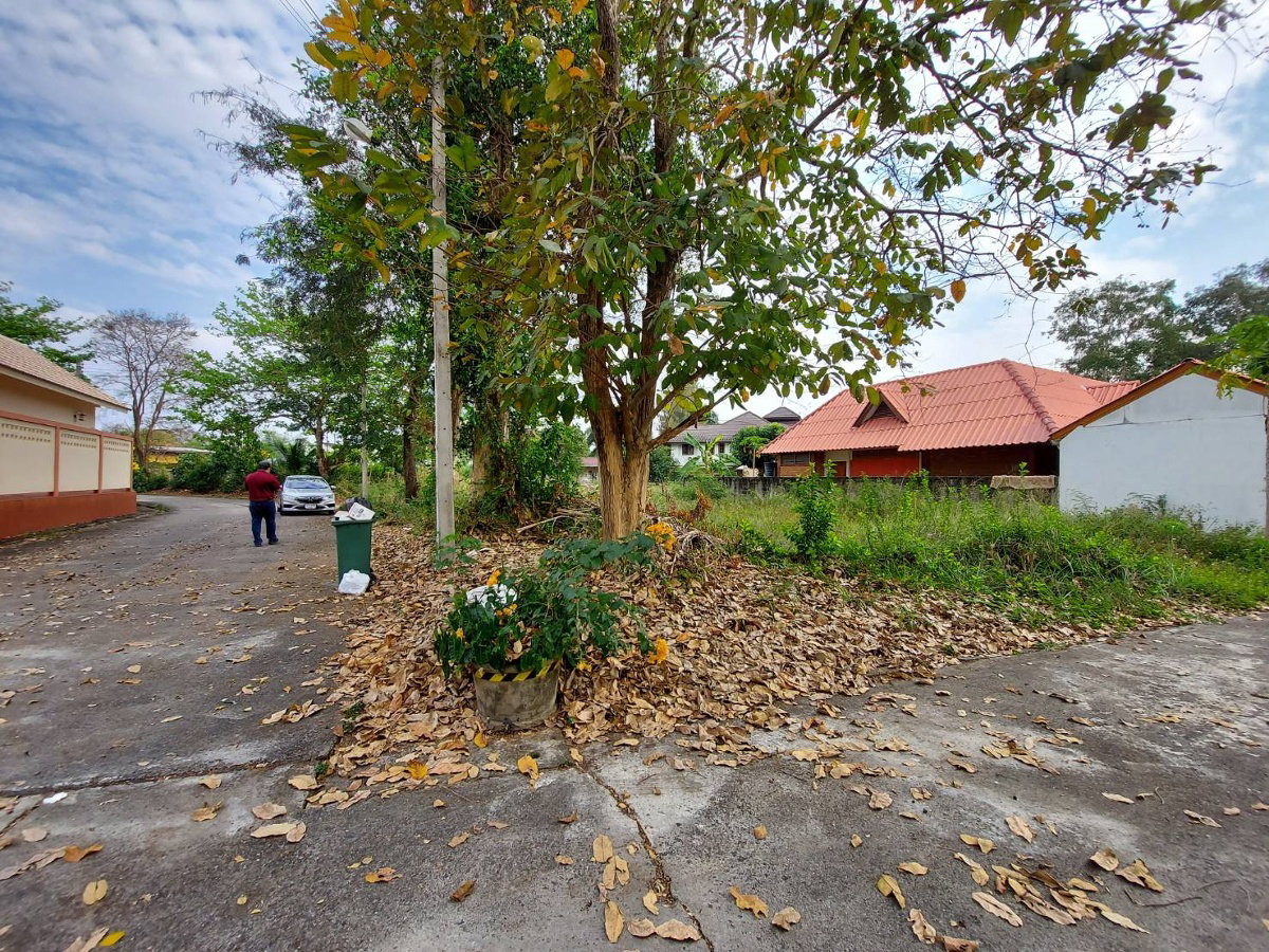 รูป ขายที่ดิน 99.5 ตร.ว (แปลงมุม ติดถนน 2 ด้าน) หมู่บ้านริมน้ำ อำเภอเมือง เชียงใหม่ ต.สันผีเสื้อ ใกล้วงแหวนรอบนอก หมู่บ้านริมน้ำ น้ำไฟพร้อม - รูปที่ 7/20