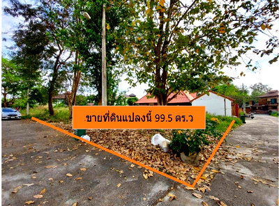 ที่ดิน รวมโชค มอลล์ : ขายที่ดิน 99.5 ตร.ว (แปลงมุม ติดถนน 2 ด้าน) หมู่บ้านริมน้ำ อำเภอเมือง เชียงใหม่ ต.สันผีเสื้อ  ใกล้วงแหวนรอบนอก หมู่บ้านริมน้ำ  น้ำไฟพร้อม 
