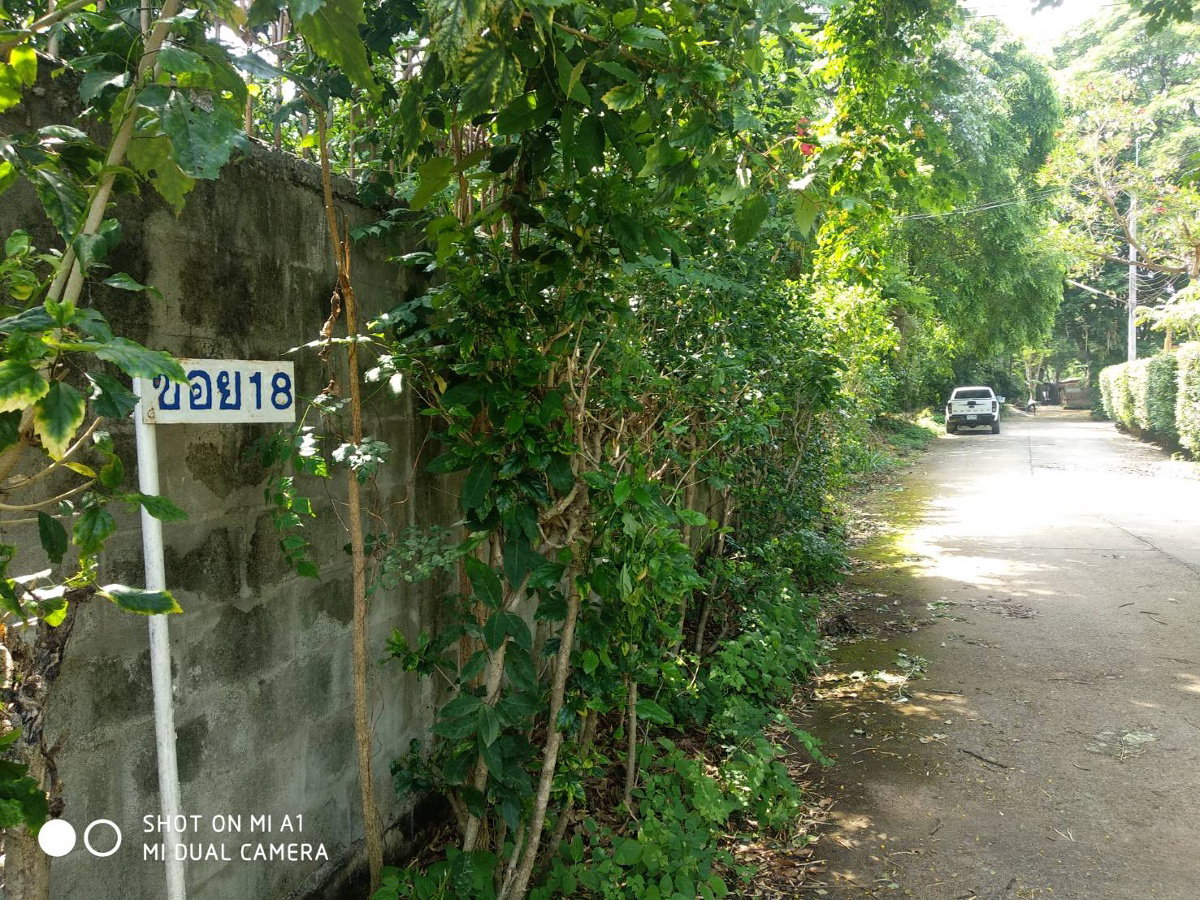รูป ขายที่ดิน 99.5 ตร.ว (แปลงมุม ติดถนน 2 ด้าน) หมู่บ้านริมน้ำ อำเภอเมือง เชียงใหม่ ต.สันผีเสื้อ ใกล้วงแหวนรอบนอก หมู่บ้านริมน้ำ น้ำไฟพร้อม - รูปที่ 9/20