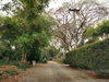 listing thumbnail image 14