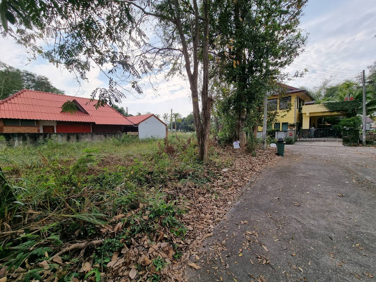 รูป ขายที่ดิน 99.5 ตร.ว (แปลงมุม ติดถนน 2 ด้าน) หมู่บ้านริมน้ำ อำเภอเมือง เชียงใหม่ ต.สันผีเสื้อ ใกล้วงแหวนรอบนอก หมู่บ้านริมน้ำ น้ำไฟพร้อม - รูปที่ 6/20
