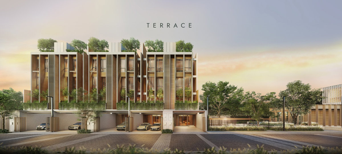 รูปภาพTERRACE