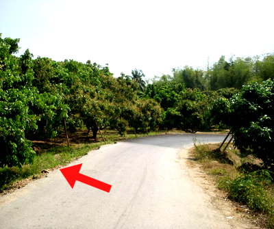 Land for sale Chiang Mai : Land for sale in Chiang Mai Next to Mae Klang River Behind Chom Thong Hospital, 1 rai 328 sqw.