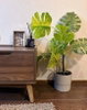 listing thumbnail image 4