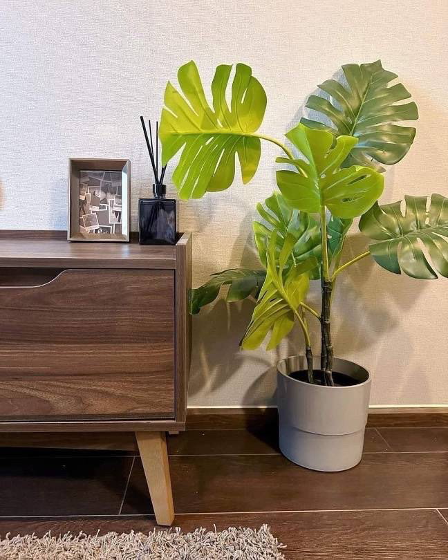 รูป 💥 เช่าCondo C Ekkamai ห้องสวยราคาดี ใกล้BTS เอกมัย - รูปที่ 5/7
