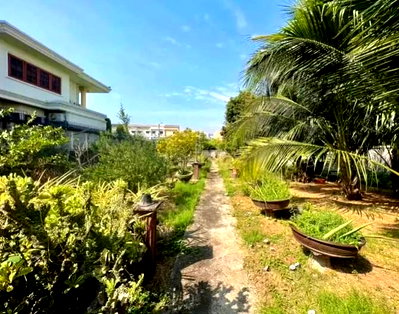 ขายที่ดิน : LTHC10226 – Land FOR SALE in Onnut Size 200 Sq.W Near BTS Onnut Station ONLY 40 MB