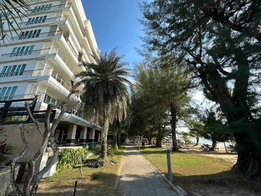 รูป Pine Shores - รูปที่ 3/5