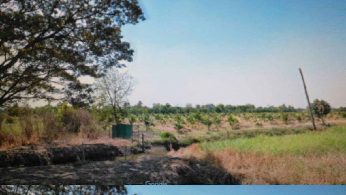 รูป ขายที่ดิน 50 ไร่ ถนนคู่ขนานวงแหวนรอบนอกฝั่งตะวันตก ต.คลองสี่ อ.คลองหลวง จ.ปทุมธานี - รูปที่ 5/8