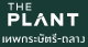 project-the-plant-thepkasttri-thalang--b05009a5-image-alt