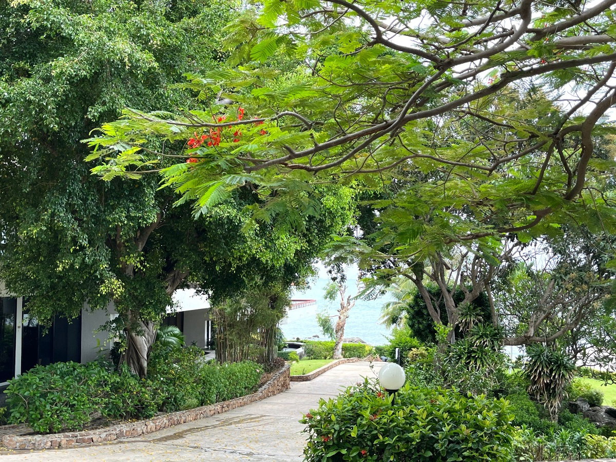 รูป ขาย Gardencliff Condo 2 Pattaya beachfront - รูปที่ 8/13