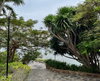 listing thumbnail image 12