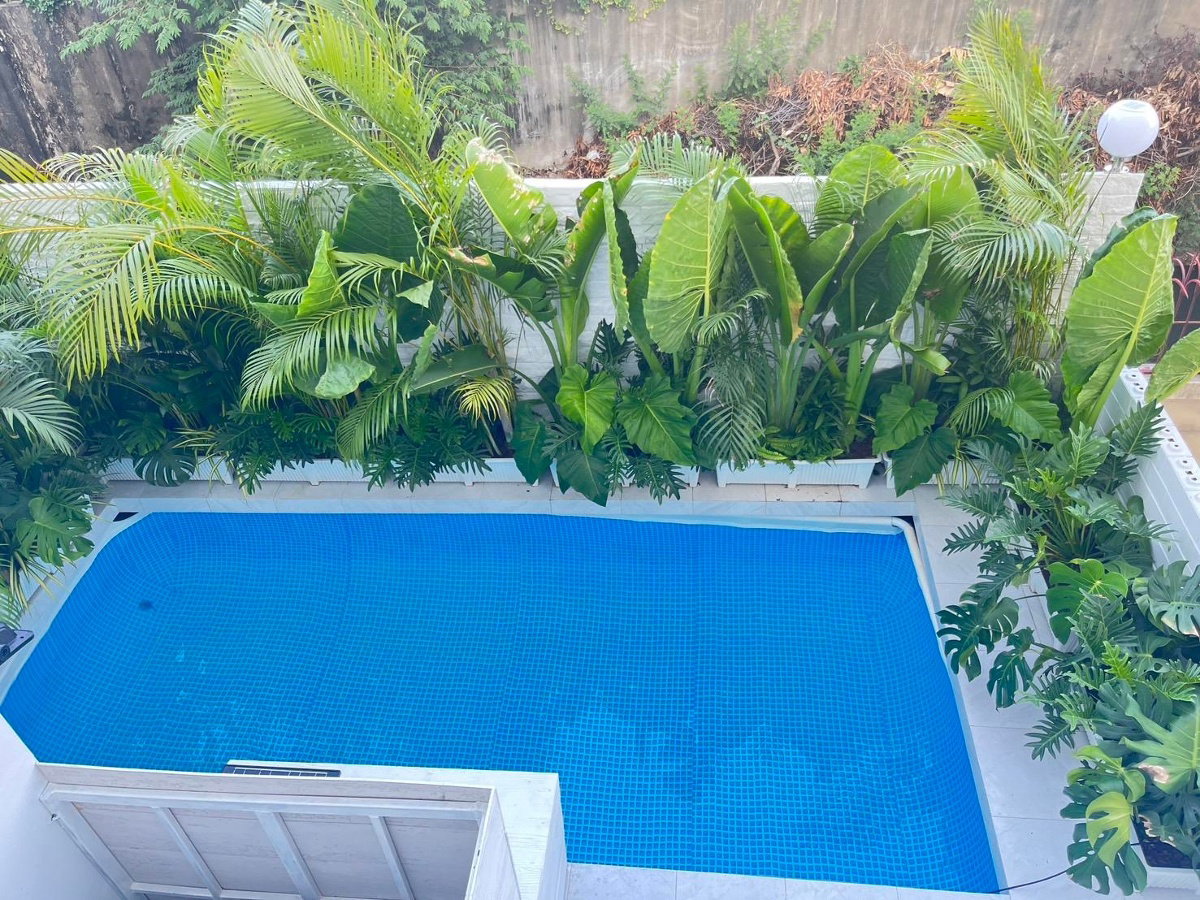 รูป SBR101 เช่า ทาวน์โฮม Sabbath Residence Chatuchak 5นอน 6น้ำ 2จอด พื้นที่ใช้สอย 400ตรม. 25.50ตรว 250000บ. 064-959-8900 - รูปที่ 44/54