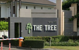 รูป The Tree  - รูปที่ 2/20