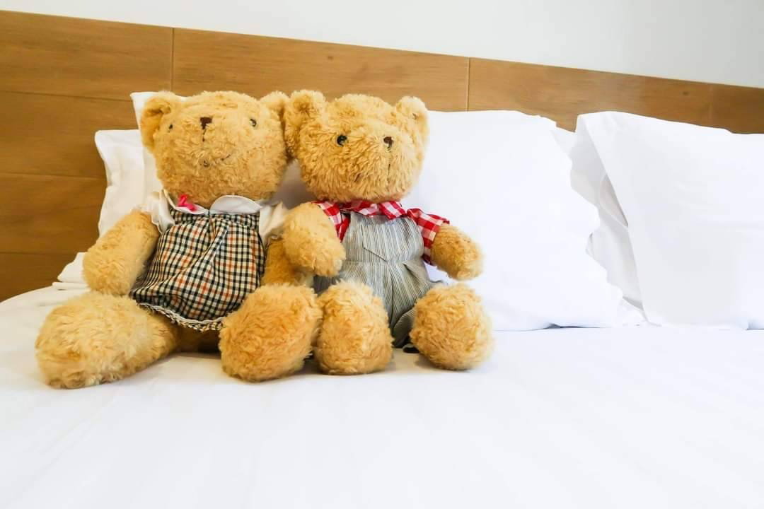 picture Hotel for sale, 8 rooms,  in the city Near tourist attractions in Chiang Mai, Convenient travel - SW001008 - 25/36