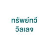 logo โครงการ ทรัพย์ทวี วิลเลจ