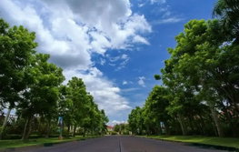 รูป Vararom Charoenmuang  - รูปที่ 3/11