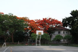 รูป Chaiyapruek - รูปที่ 3/4