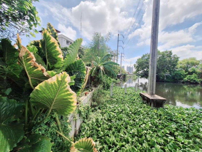 รูป ขาย ที่ดิน เทพารักษ์ 202 ตรว ซอยเทวา 2 (เข้าได้ทั้งซอย1 และ2) เทพารักษ์ - รูปที่ 6/11