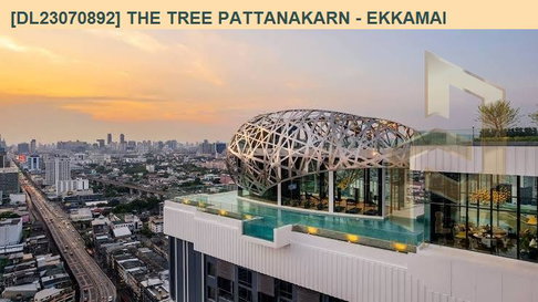 DL23070892 ให้เช่าคอนโด เดอะ ทรี พัฒนาการ - เอกมัย (The Tree Pattanakarn - Ekkamai) ใกล้ สายสีส้ม พร้อมเข้าอยู่ โทรด่วน 0614453194 LineID @952jdxxk