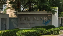 รูป The Plant Light Tiwanon - Rangsit - รูปที่ 3/19
