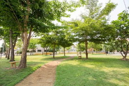 Project Sansaisiri 1 Picture - 4/5