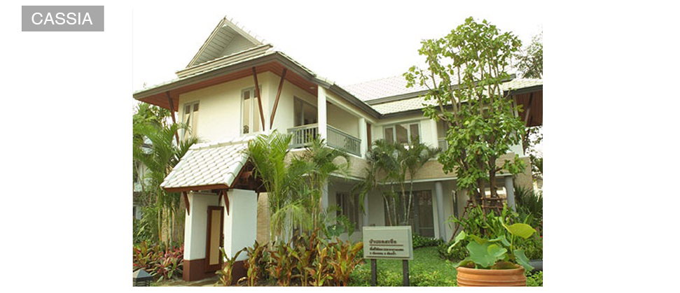 รูปภาพCASSIA