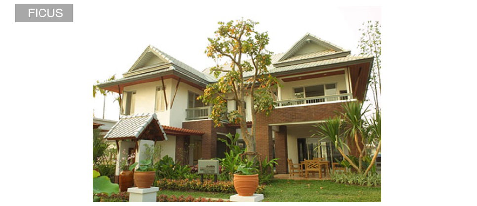 รูปภาพFICUS