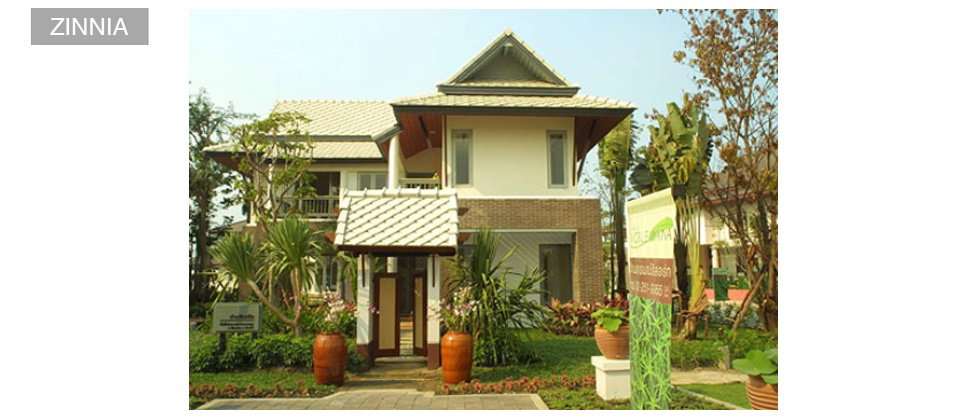 รูปภาพZINNIA