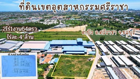 ที่ดินบึงศรีราชา พื้นที่สีส้ม เขตอุสหกรรม โซนเครื่อสหพัฒน์ 