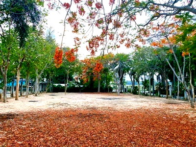 Land for sale Chonburi : Hot Price Land for Sale Mabprachan Lake