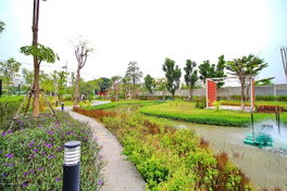 รูป SIAMESE blossom @ fashion - รูปที่ 3/5
