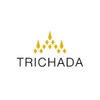 logo โครงการ ตรีชฎา วิลล่า