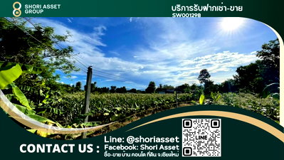 Land for sale Chiang Mai : Land and house for sale near Chedi Mae Krua Market, San Sai. - SW001298