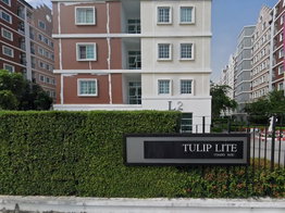 รูป Tulip Lite - รูปที่ 4/7