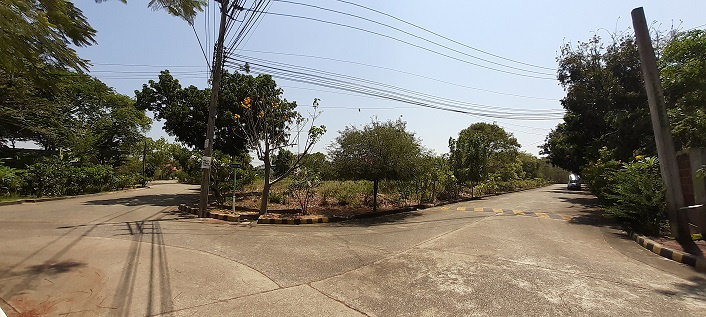 รูป ที่ดินเปล่าซอยชัยพฤกษ์ 42 หมู่บ้านชัยพฤกษ์ บางบัวทอง - รูปที่ 3/4