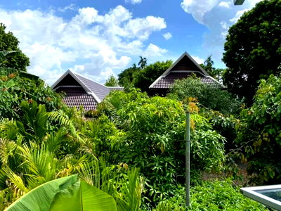 เช่าบ้านเดี่ยว เชียงใหม่ : 🏡 ปล่อยเช่า 🪴รีสอร์ต โฮมสเตย์🏡 50,000฿/เดือน💥 🪴รีสอร์ต บ้านไม้ทรงไทยประยุกต์ ผสมผสานลอฟท์แบบลงตัวสไตล์ล้านนา🪴