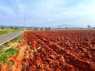ที่ดิน นครราชสีมา (โคราช) : ขายที่ดินเขาใหญ่ หนองสาหร่าย เส้น2235 หนองช้างตาย วังไทร 5-10 ไร่ ปากช่อง ติดถนนลาดยางทางไป my ozone เดินทางสะดวก วิวเขาสวย ไม่เปลี่ยว 087-9074045