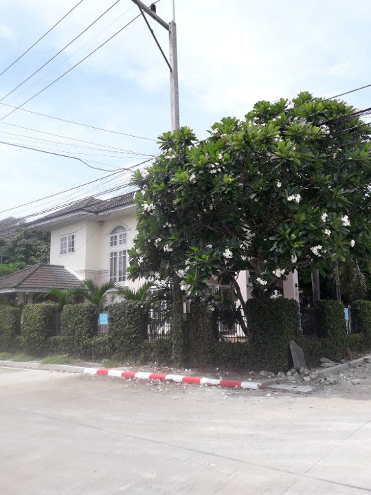 รูป ให้เช่า บ้านโครงการ ใกล้โรงเรียนนานาชาติหลายแห่ง - RW004942 - รูปที่ 16/19