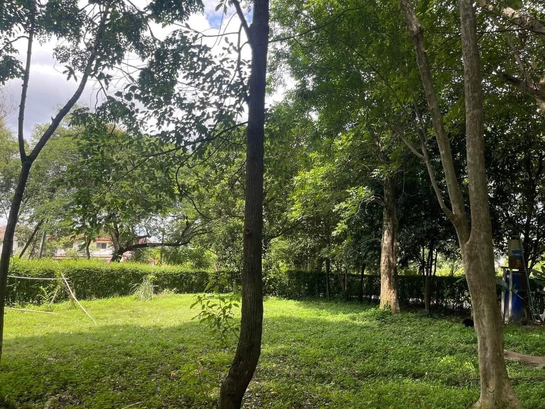 รูป ขายที่ดินเปล่า ใกล้สนามบิน ใกล้โรงเรียนนานาชาติหลายแห่ง - SW001388 - รูปที่ 6/11