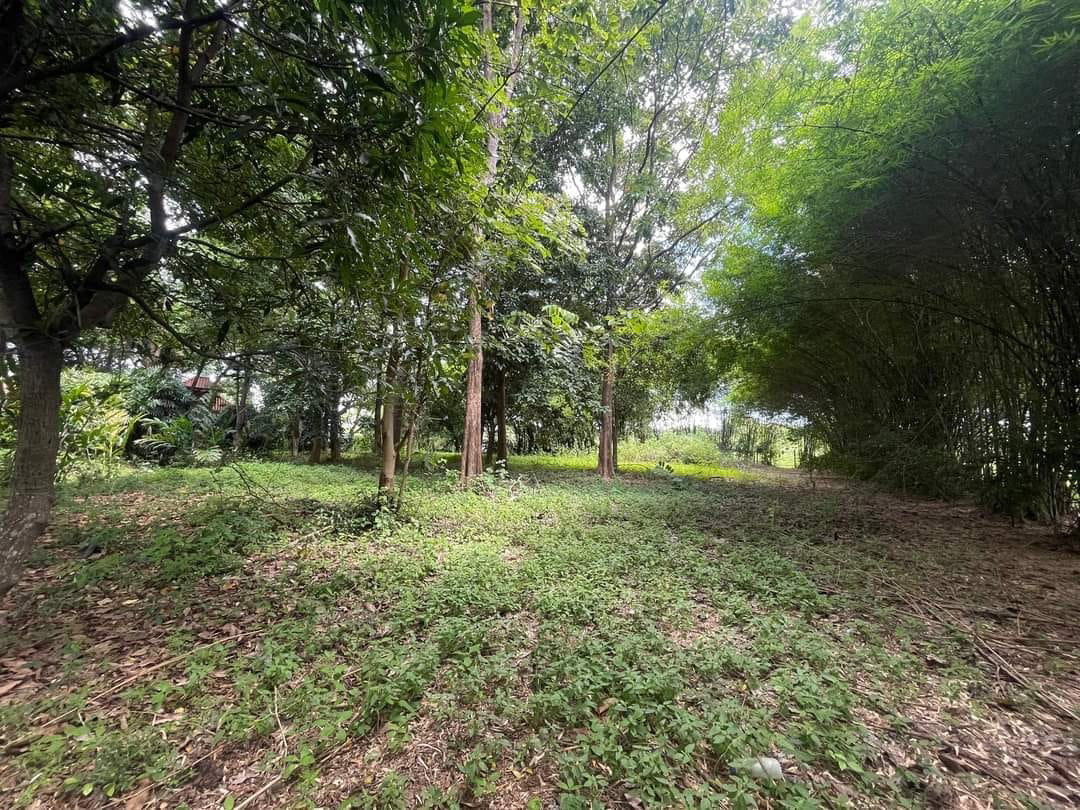 รูป ขายที่ดินเปล่า ใกล้สนามบิน ใกล้โรงเรียนนานาชาติหลายแห่ง - SW001388 - รูปที่ 3/11