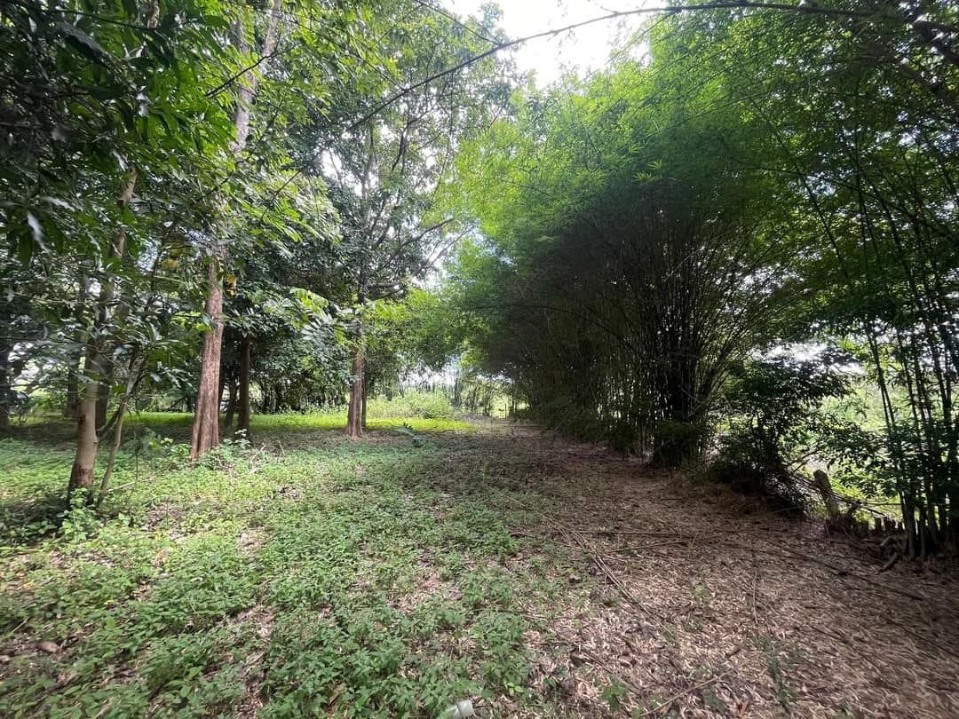 รูป ขายที่ดินเปล่า ใกล้สนามบิน ใกล้โรงเรียนนานาชาติหลายแห่ง - SW001388 - รูปที่ 4/11