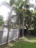 listing thumbnail image 16