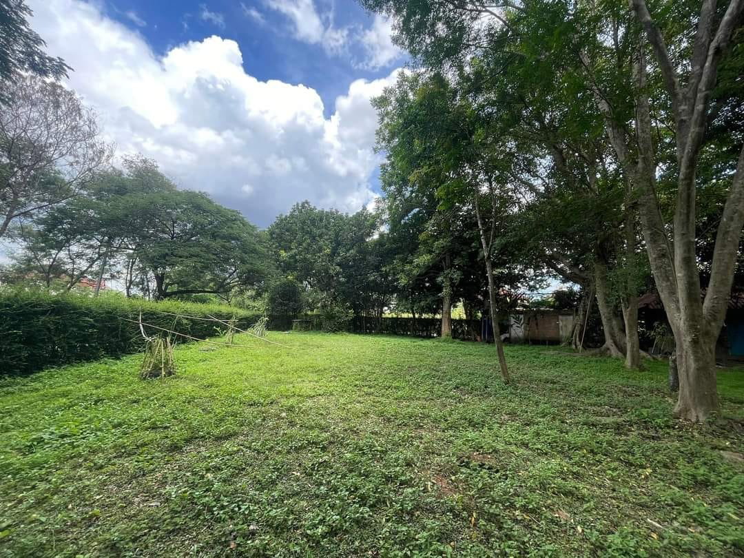 รูป ขายที่ดินเปล่า ใกล้สนามบิน ใกล้โรงเรียนนานาชาติหลายแห่ง - SW001388 - รูปที่ 2/11