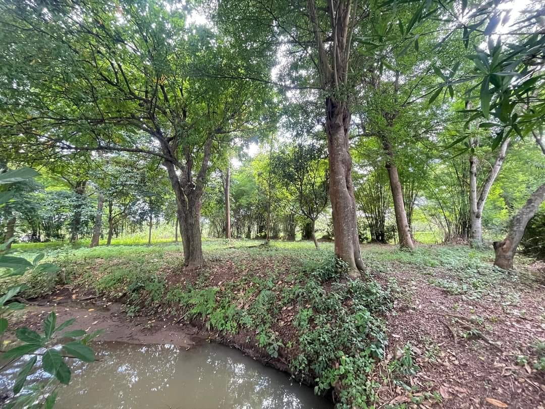 รูป ขายที่ดินเปล่า ใกล้สนามบิน ใกล้โรงเรียนนานาชาติหลายแห่ง - SW001388 - รูปที่ 9/11