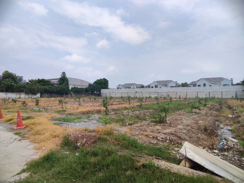 Land for rent, Atsawaphichet Road 21, Bang Ramad Subdistrict, Taling Chan District, 400 meters from Kanchanaphisek Road